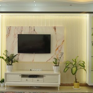 TV  WALL
